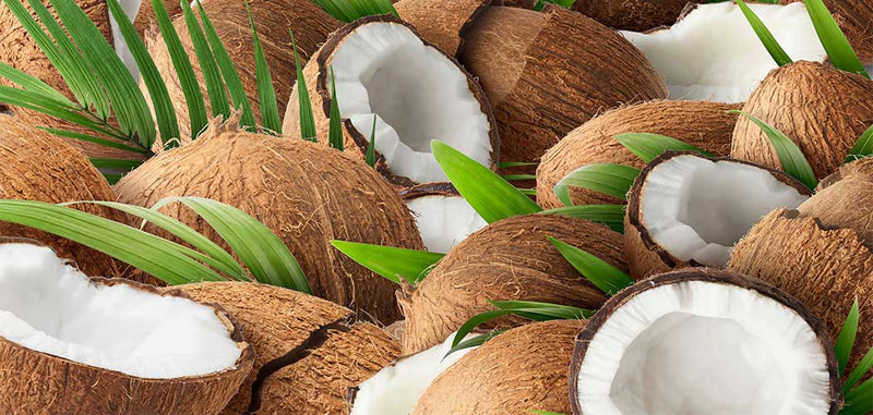 Blog | Health Benefits of Kerala Coconut Oil | Spice Range
